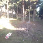 Satılır Torpaq, Avtovağzal metrosu, Biləcəri qəs., Binəqədi rayonu 12