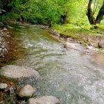 Kirayə (günlük) 3 otaqlı Həyət evi/villa Lerik 14