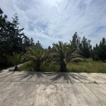 Satılır Torpaq, Şüvəlan, Xəzər rayonu 13