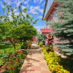 Kirayə (günlük) 5 otaqlı Həyət evi/villa Qəbələ 3