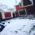 Kirayə (günlük) 5 otaqlı Həyət evi/villa Qəbələ 4