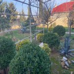 Satılır 7 otaqlı Həyət evi/villa, Qaraçuxur qəs., Suraxanı rayonu 16