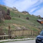 Satılır Torpaq Şamaxı 1