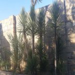 Kirayə (aylıq) 3 otaqlı Bağ evi, Novxanı, Abşeron rayonu 5
