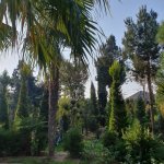 Satılır 7 otaqlı Həyət evi/villa, Mərdəkan, Xəzər rayonu 15