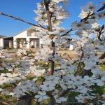 Satılır 3 otaqlı Həyət evi/villa, Buzovna, Xəzər rayonu 9