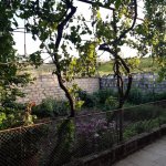 Satılır 6 otaqlı Həyət evi/villa İsmayıllı 9