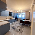 Аренда 2 комнатная Новостройка, м. 28 Мая метро, Центр Гейдара Алиева, Наримановский р-н район 11