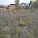 Satılır 7 otaqlı Bağ evi, Novxanı, Abşeron rayonu 9