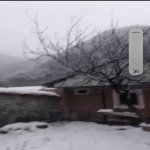 Satılır Torpaq Qax 4