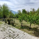 Kirayə (günlük) 5 otaqlı Yeni Tikili Şəki 16
