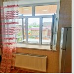 Kirayə (günlük) 3 otaqlı Həyət evi/villa Qəbələ 4