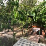 Kirayə (aylıq) 5 otaqlı Bağ evi, Xəzər rayonu 10