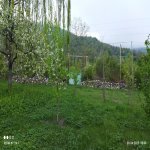 Satılır Torpaq Quba 1