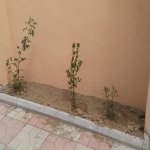 Satılır 3 otaqlı Həyət evi/villa, Azadlıq metrosu, Binəqədi qəs., Binəqədi rayonu 2