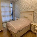 Kirayə (aylıq) 2 otaqlı Yeni Tikili, 28 May metrosu, Nəsimi rayonu 7