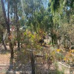 Satılır Torpaq, Mərdəkan, Xəzər rayonu 6