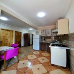 Kirayə (günlük) 2 otaqlı Bağ evi Şəki 2