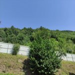 Kirayə (günlük) 4 otaqlı Yeni Tikili Lerik 15