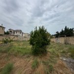 Satılır Torpaq, Şağan, Xəzər rayonu 3