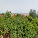 Satılır 6 otaqlı Həyət evi/villa, Zığ qəs., Suraxanı rayonu 3
