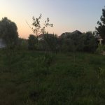 Kirayə (günlük) 7 otaqlı Həyət evi/villa, Novxanı, Abşeron rayonu 13