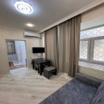 Kirayə (aylıq) 1 otaqlı Köhnə Tikili, Sahil metrosu, Nəsimi rayonu 3