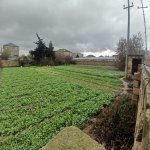 Продажа Участок, Бузовна, Хязяр район 2