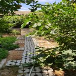 Satılır 3 otaqlı Həyət evi/villa, Şağan, Xəzər rayonu 12