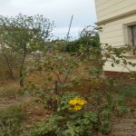Satılır 9 otaqlı Həyət evi/villa, Hökməli, Abşeron rayonu 40