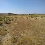 Satılır Torpaq, Masazır, Abşeron rayonu 3