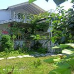Kirayə (günlük) 3 otaqlı Həyət evi/villa Qax 1
