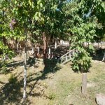 Kirayə (günlük) 5 otaqlı Bağ evi, Novxanı, Abşeron rayonu 38