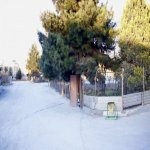 Kirayə (aylıq) Obyekt Gəncə 6