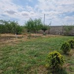 Kirayə (günlük) 4 otaqlı Bağ evi, Qala, Xəzər rayonu 2