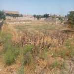 Продажа Участок, Туркян, Хязяр район 8