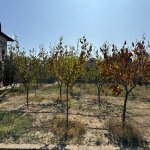 Satılır Torpaq, Mərdəkan, Xəzər rayonu 10