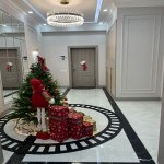 Продажа 3 комнатная Новостройка, м. Гянджлик метро, Насими район 12