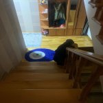 Satılır 7 otaqlı Həyət evi/villa, Xətai metrosu, NZS, Xətai rayonu 15