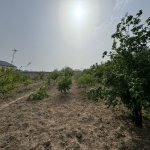 Satılır Torpaq, Şüvəlan, Xəzər rayonu 11