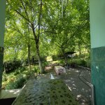 Kirayə (günlük) 2 otaqlı Bağ evi Qəbələ 4