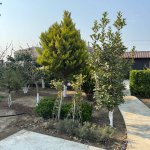 Satılır 4 otaqlı Həyət evi/villa, Buzovna, Xəzər rayonu 15