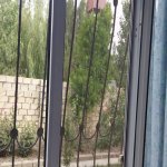 Kirayə (günlük) 2 otaqlı Bağ evi Xaçmaz / Nabran 17
