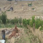 Продажа Участок, Новханы, Абшерон район 12