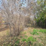 Продажа Участок Гябяля 3