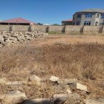 Satılır Torpaq, Saray, Abşeron rayonu 4