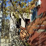 Satılır 4 otaqlı Həyət evi/villa, Ramana qəs., Sabunçu rayonu 15