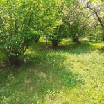 Продажа Участок Гябяля 4