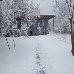 Kirayə (günlük) 4 otaqlı Həyət evi/villa Şəki 1