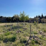 Satılır 6 otaqlı Bağ evi, Bilgəh qəs., Sabunçu rayonu 20
